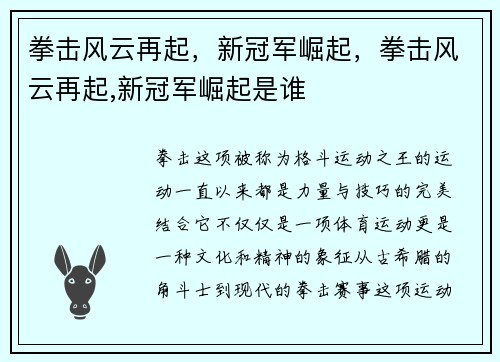 拳击风云再起，新冠军崛起，拳击风云再起,新冠军崛起是谁
